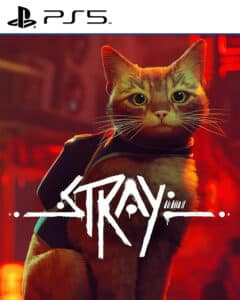 Stray